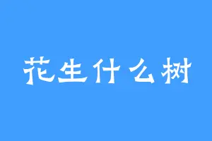 花生什么树