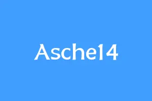 Asche14
