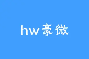 hw豪微
