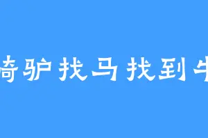 骑驴找马找到牛