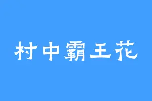 村中霸王花