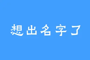想出名字了