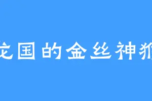 龙国的金丝神猴