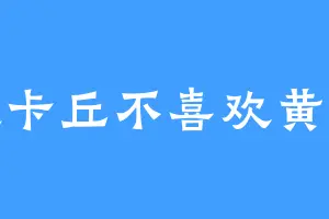 皮卡丘不喜欢黄色