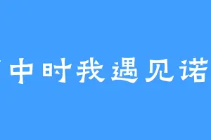 高中时我遇见诺澜
