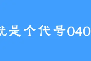就是个代号0404