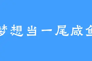 梦想当一尾咸鱼