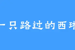 一只路过的西琳