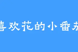 喜欢花的小番茄
