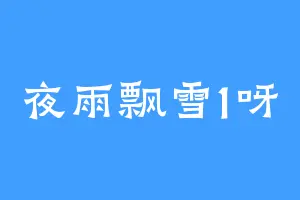 夜雨飘雪1呀
