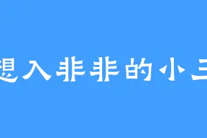 想入非非的小三
