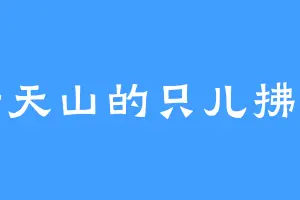 诸天山的只儿拂郎