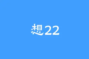 想22