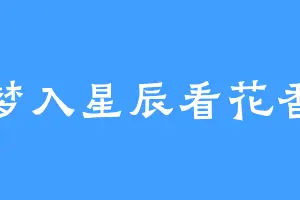 梦入星辰看花香