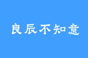良辰不知意