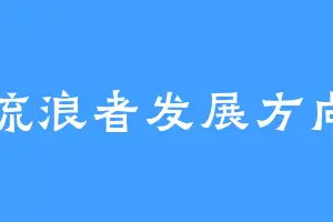 流浪者发展方向