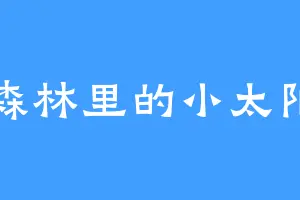森林里的小太阳