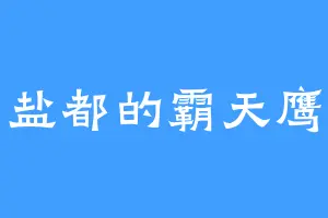 盐都的霸天鹰