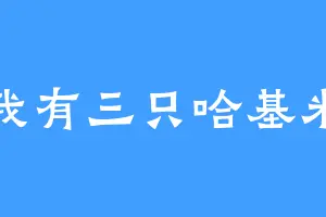 我有三只哈基米