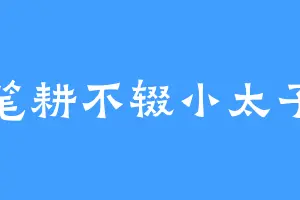 笔耕不辍小太子