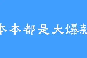 本本都是大爆款