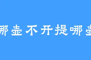 哪壶不开提哪壶
