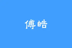 傅皓