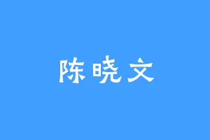 陈晓文
