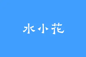 水小花