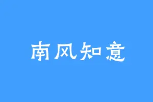 南风知意